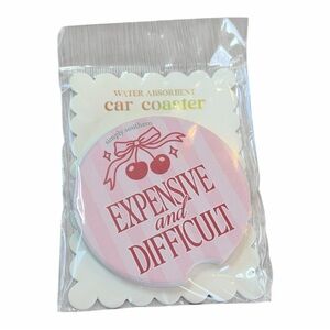 Simply Southern Expensive and Difficult Single Car Coaster Absorbent Stone